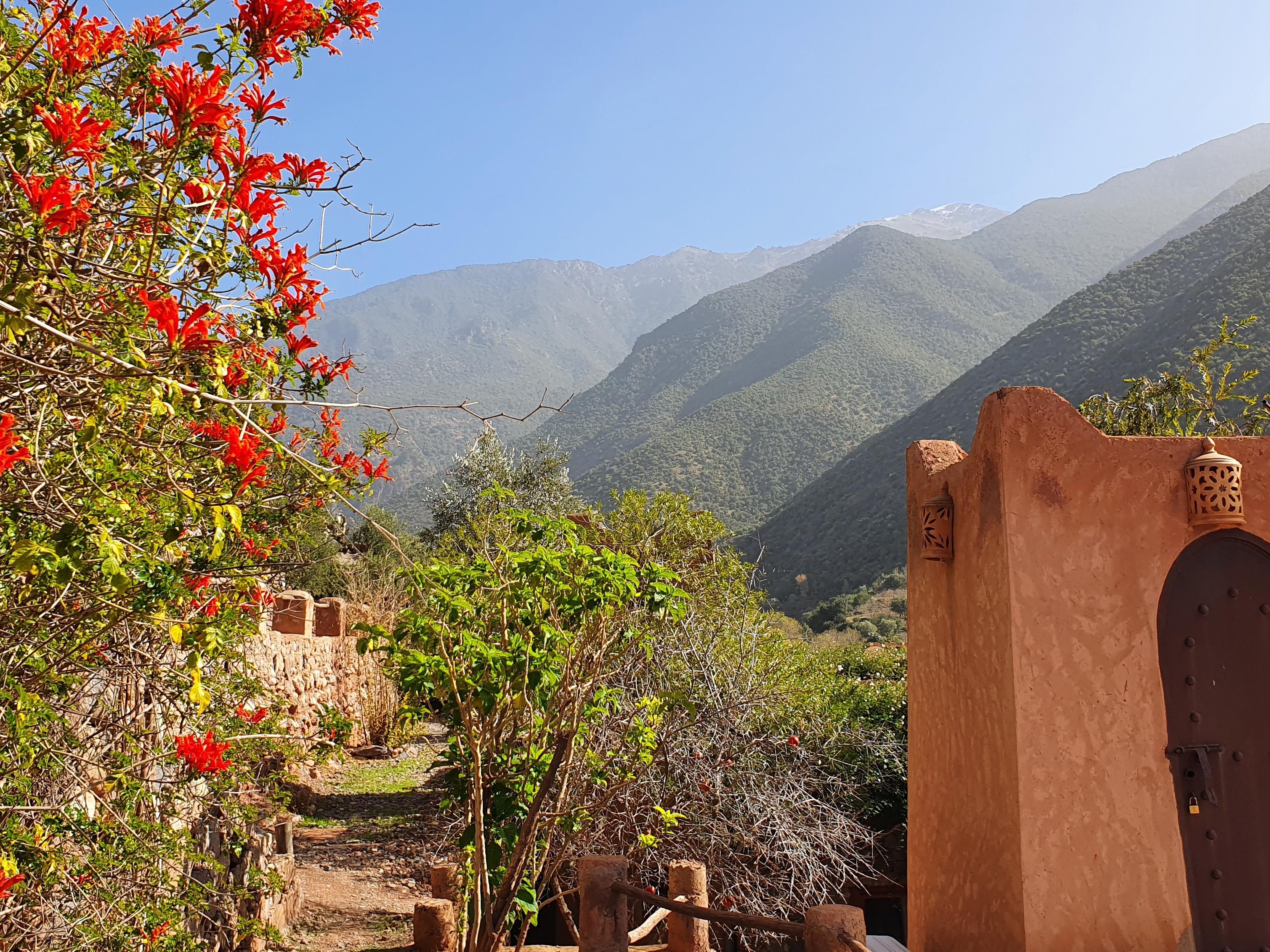 Bed and Breakfast Kasbah Africa Ouirgane Exterior foto