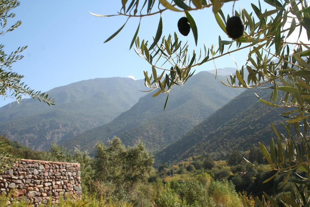 Bed and Breakfast Kasbah Africa Ouirgane Exterior foto